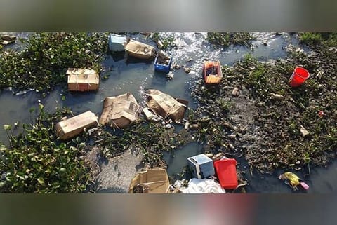 The biomedical waste dumped