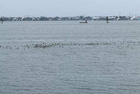 Increased storage level in four major lakes to help water supply till Oct