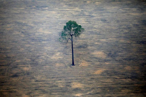 Photo courtesy: Reuters