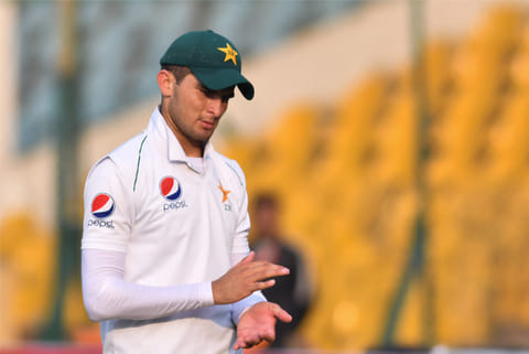 Image Courtesy: Twitter - @TheRealPCB
