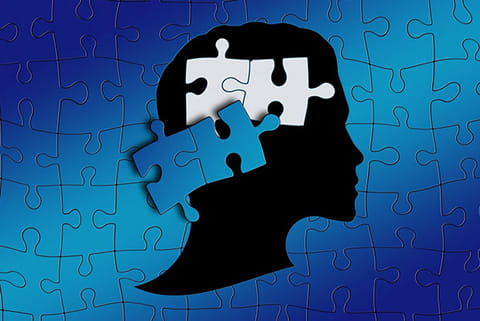 Autism symptoms' severity varies greatly among twins