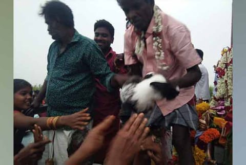 Children touching the rabbit seeking its ?blessings?, at Nallur near Vandavasi in Tiruvannamalai district