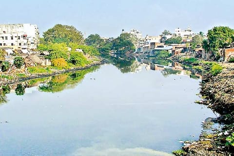 Cooum river (File photo)