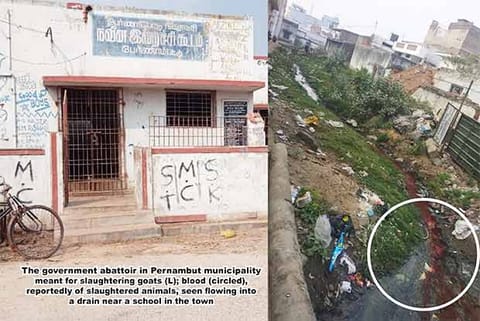 Slaughter waste in open canal puts locals at risk