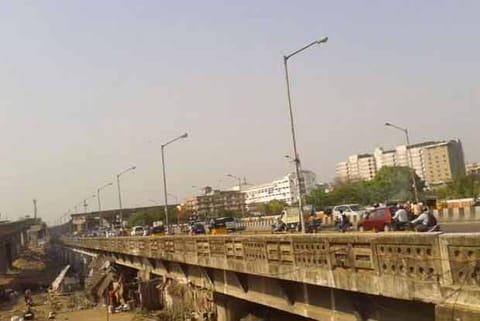 Maraimalai Adigal Bridge
