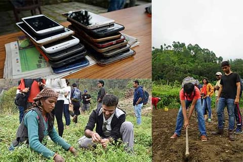 Phone submission at the retreat; Travellers taking up farming during a digital detox trip