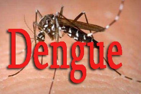 Dengue vaccine awaits nod despite approval from FDA