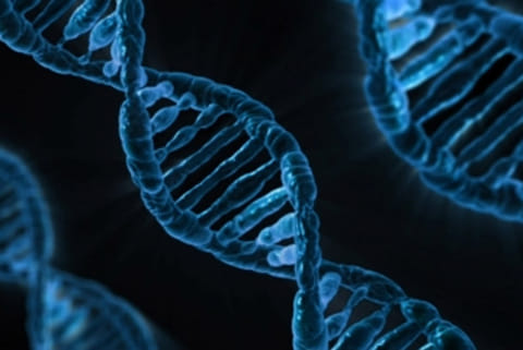 Genetic connections between Alzheimer's disease, heart conditions found: Study
