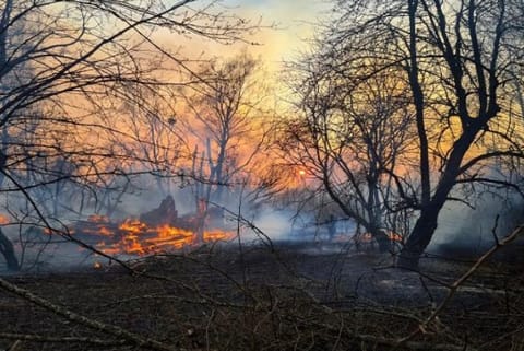Forest fire near Chernobyl n-plant spikes radiation levels
