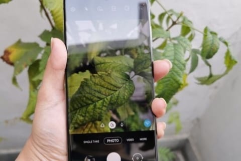 Samsung may use BOE's OLED screens for future Galaxy models