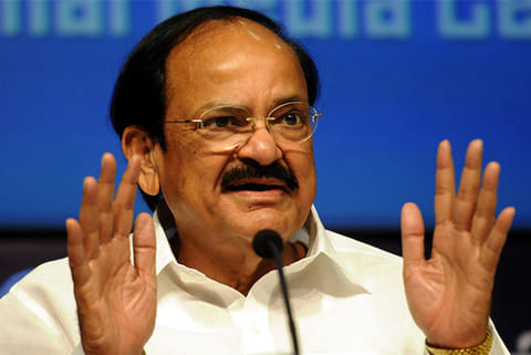 Article 370 nullification India's internal matter, other countries should not interfere: Naidu