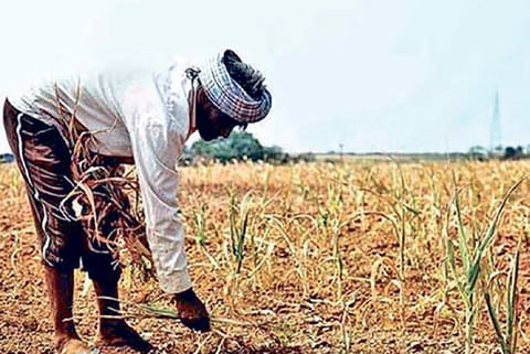PMKSNY Scam in 13 districts:  Agri Secy orders probe after non-farmers avail benefits