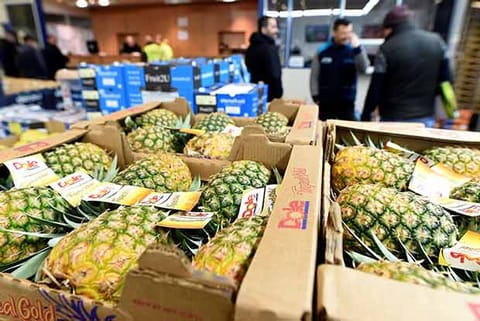 Mounting losses add to Kerala pineapple growers' stress