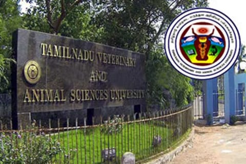 Online applications to 7 govt veterinary college institutes invited from Aug 24