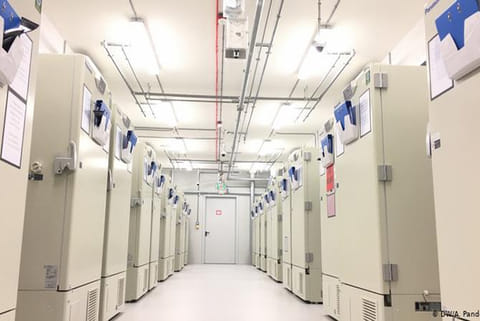 Journey of a vaccine: From the research lab to your doorstep
