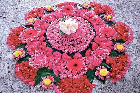 Jyothi Gokul?s pookalam at home