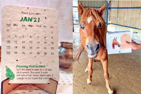 Check out these 2021 calendars that are made with a purpose