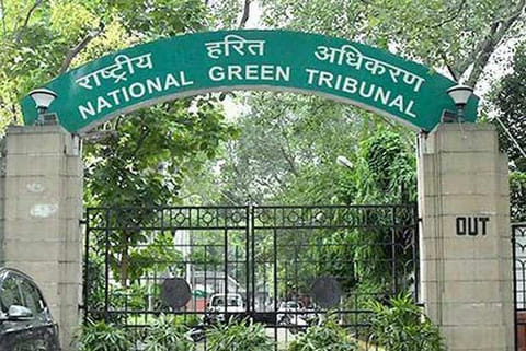 NGT forms team to study mining on Thenpennai