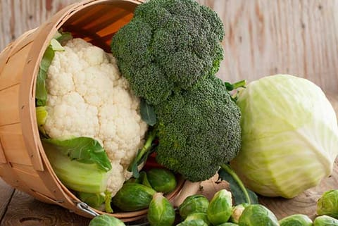 Compound in cabbage helps fight fatty liver disease