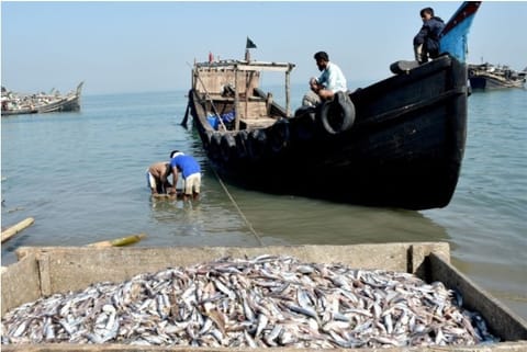 Govt plans uniform fishing law in exclusive economic zone