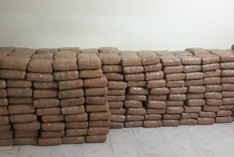 The ganja seized from a container lorry on Wednesday