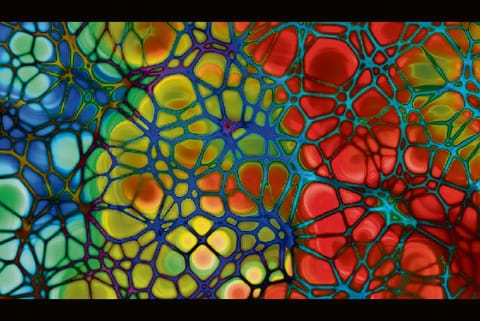 Fat around arteries may be good for health