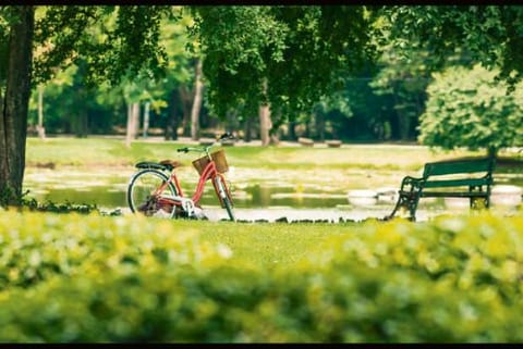 Green space can reduce violent crime in cities