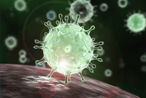 7 more people under observation for possible exposure to novel coronavirus: Govt
