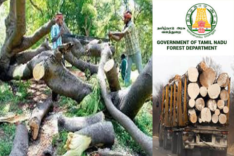 Mafia exploits virus scare, plunders high value timber in Tamil Nadu