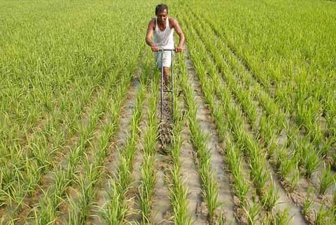 Repayment date for short term agri loans extended to Aug 31