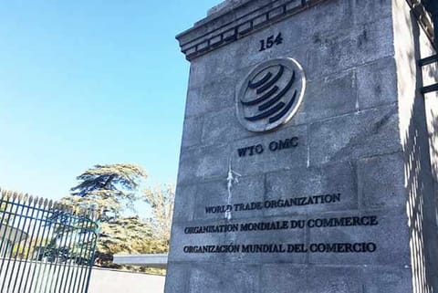 China loses WTO dispute over market economy status