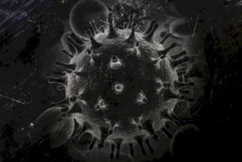 Flu virus with 'pandemic potential' found in China