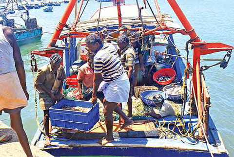 Fishing activity off Thoothukudi coast (file photo)