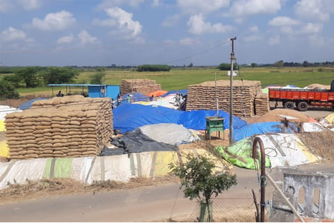 Paddy being kept on a roadside in Ariyalur