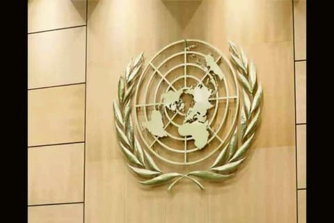 Halt use of capital punishment: UN on Nirbhaya convicts' execution