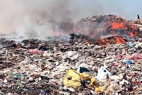 Smoke emanating from the waste burnt by workers