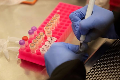 At 7.1 cases per lakh, India's Covid-19 ratio lowest in world, says Govt