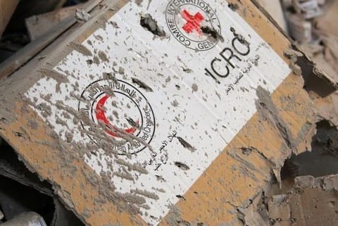 Hundreds killed in South Sudan tribal clashes: ICRC