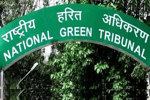 ‘NGT acting at behest of State, Central authorities’