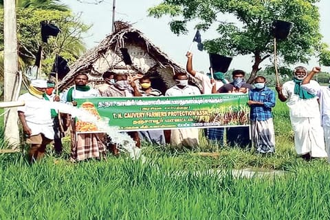 Protect free power supply, demands Delta farmers showing black flags