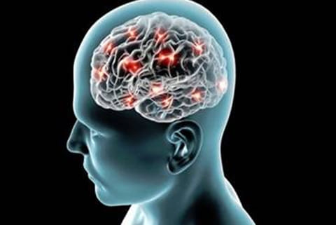 New tech can map cholesterol metabolism in brain