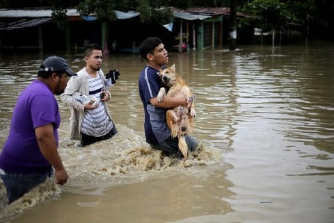 Dozens dead as Eta wreaks waterlogged havoc on Central America