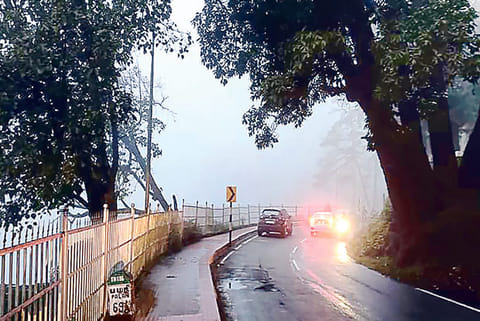 The foggy Lake Road in Kodaikanal