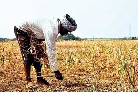 New agri laws will uplift farmers’ lives, assures BJP farmers wing chief