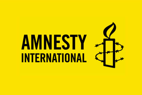 'Highest levels of US govt watching Amnesty shutdown in India'