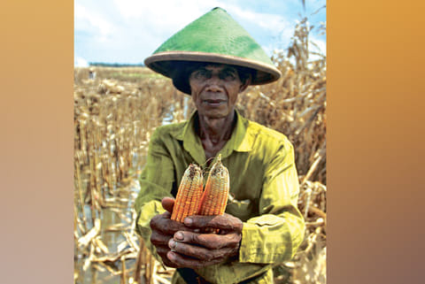 Demand for sustainable growth: Multicoloured deal for post pandemic world