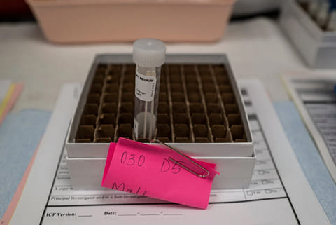A patient sample awaits processing during an antibody trial at Regeneron?s testing site in Mesa