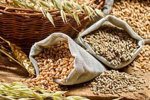 Kharif foodgrains production likely to be record 144.52 mn tonnes in 2020-21: Agri Minister