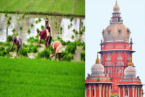 Expedite process to open ‘mirror accounts’ for farmers taking crop loans, directs High Court