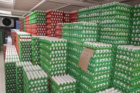 Egg export representative image